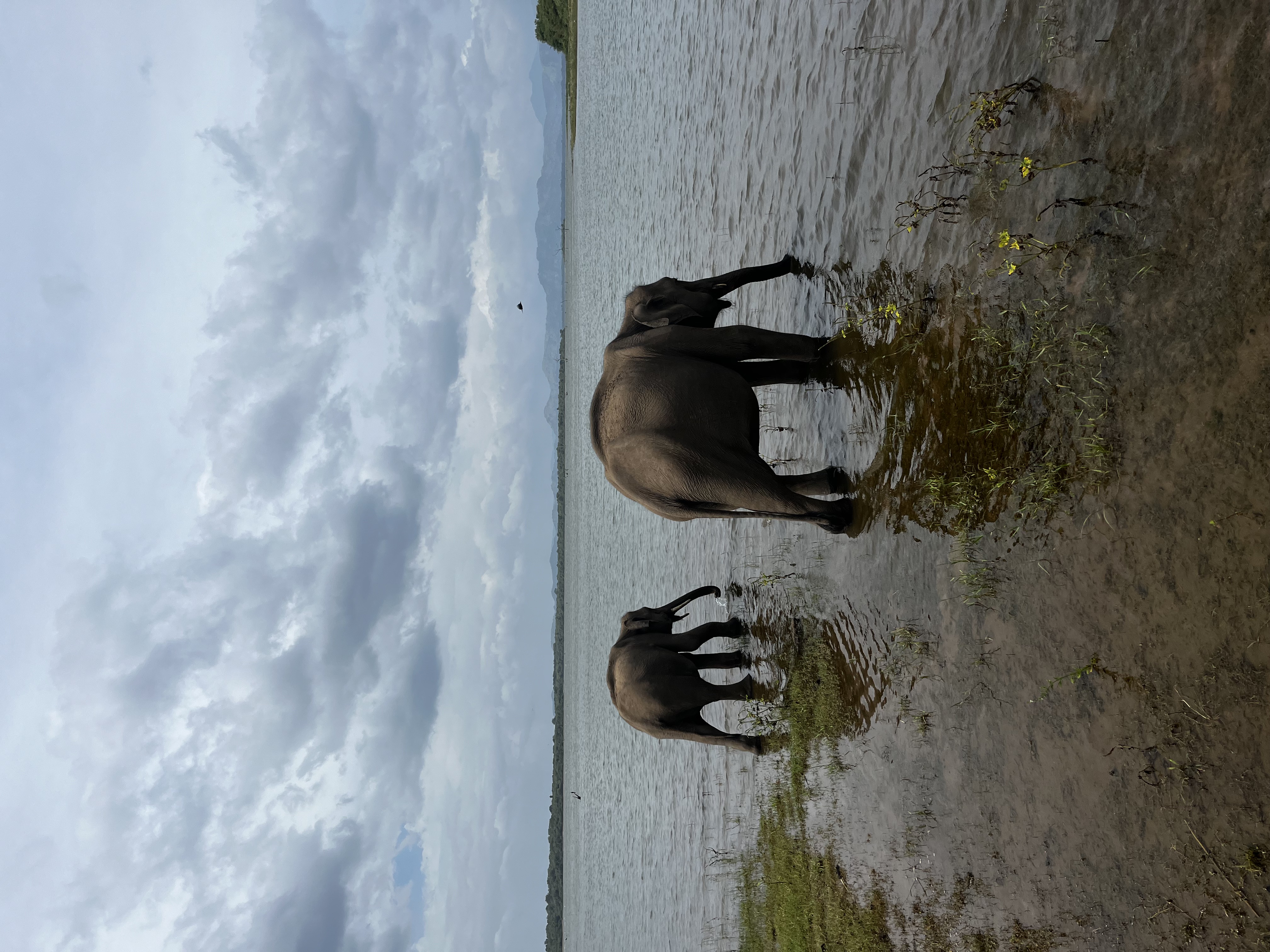 Reisebild im Hochformat 4