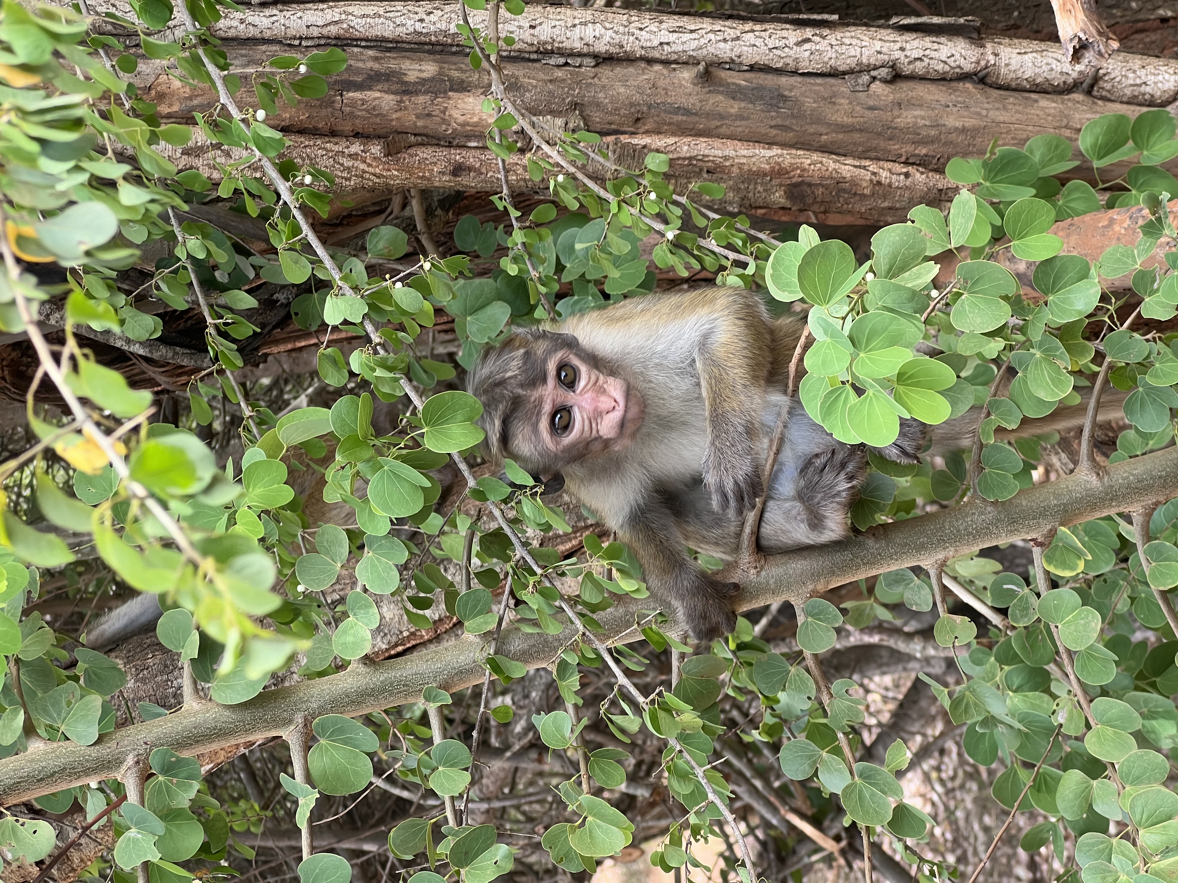 Reisebild im Hochformat 6